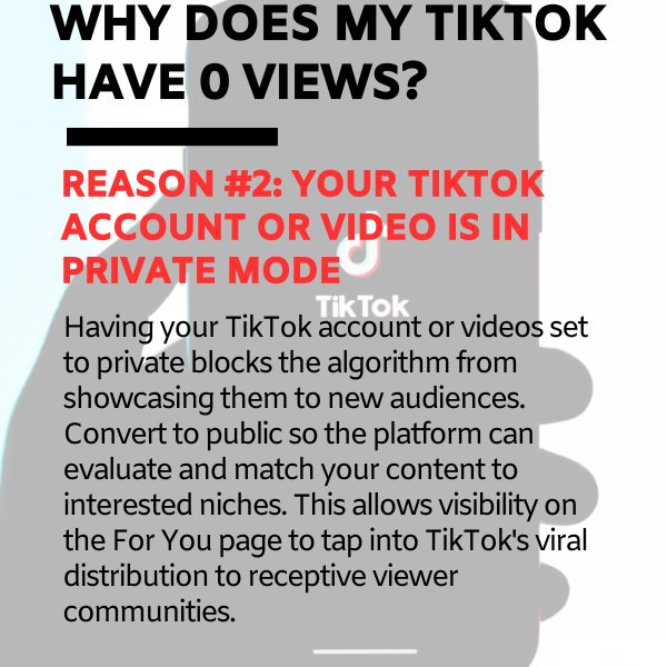Zero views on TikTok due to your TikTok account or video being in Private mode